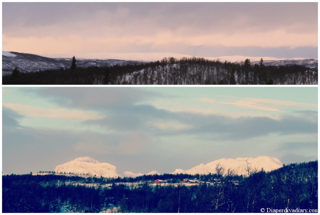 PicMonkey Collage
