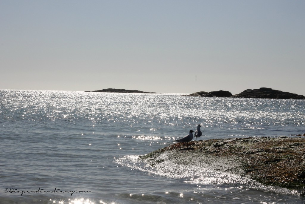 åkresand