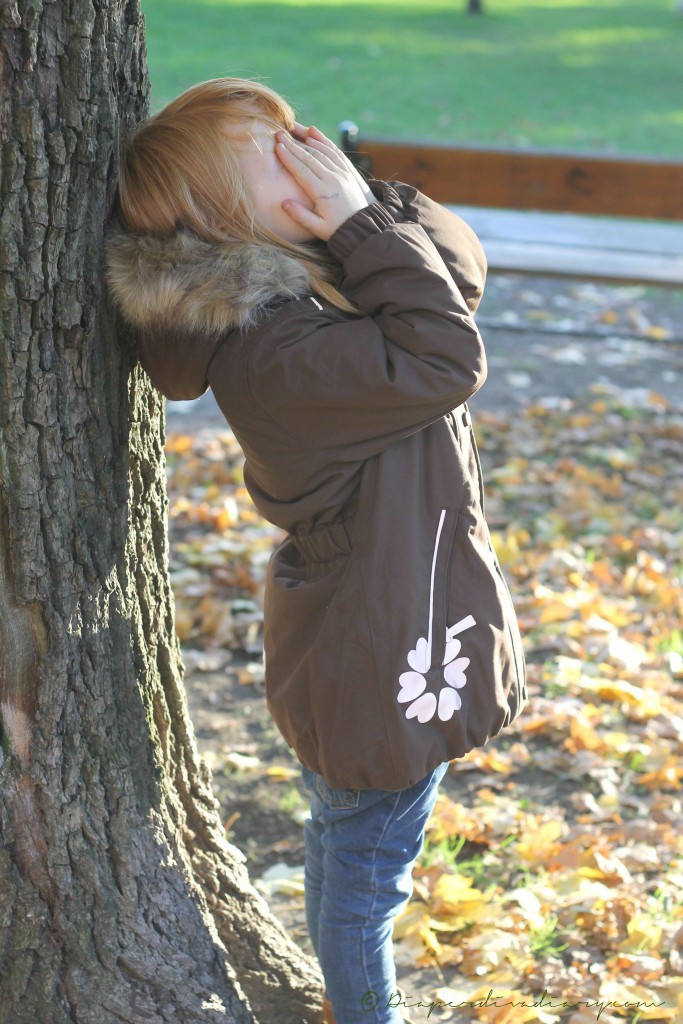 fall 13