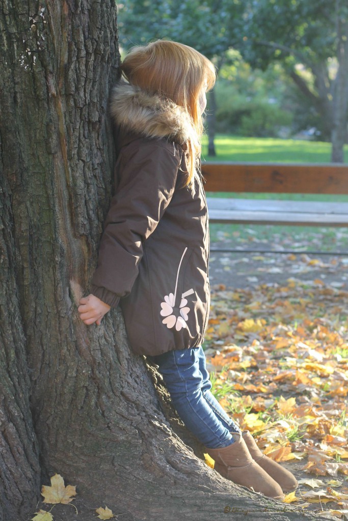 fall 6